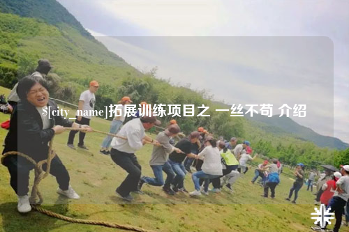 河南拓展训练项目之 一丝不苟 介绍