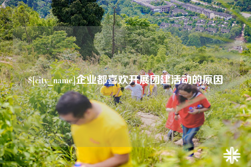 河南企业都喜欢开展团建活动的原因